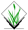 2000px-Grass_GIS.svg